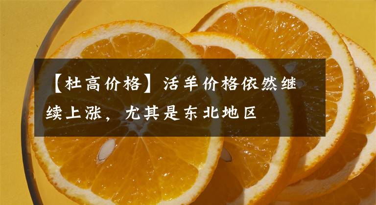 【杜高价格】活羊价格依然继续上涨，尤其是东北地区