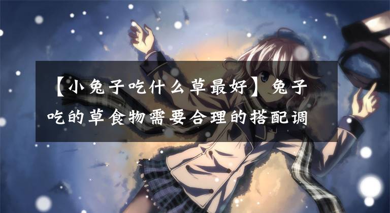 【小兔子吃什么草最好】兔子吃的草食物需要合理的搭配调整