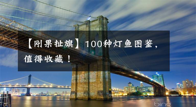 【刚果扯旗】100种灯鱼图鉴，值得收藏！
