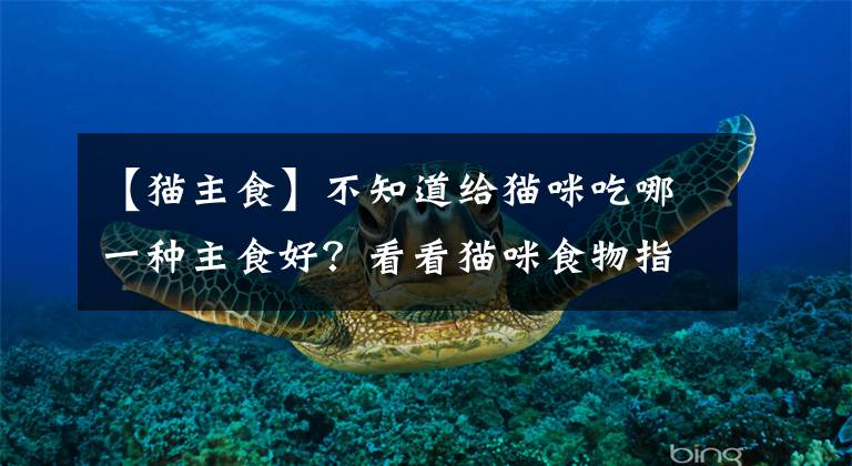 【猫主食】不知道给猫咪吃哪一种主食好？看看猫咪食物指南再做决定