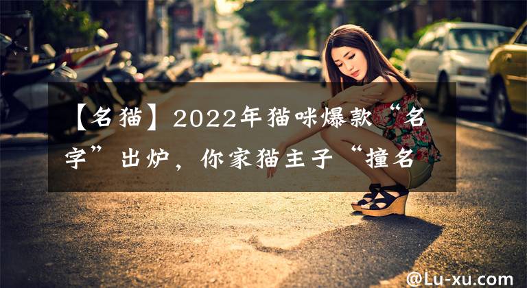 【名猫】2022年猫咪爆款“名字”出炉，你家猫主子“撞名”了吗？