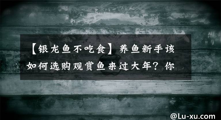 【银龙鱼不吃食】养鱼新手该如何选购观赏鱼来过大年？你要抓住3个核心10个关键点
