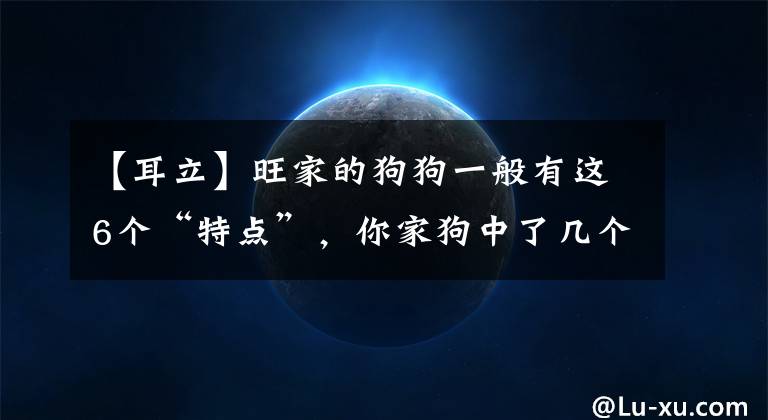 【耳立】旺家的狗狗一般有这6个“特点”，你家狗中了几个？