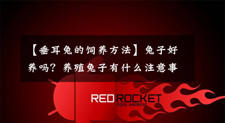 【垂耳兔的饲养方法】兔子好养吗？养殖兔子有什么注意事项？