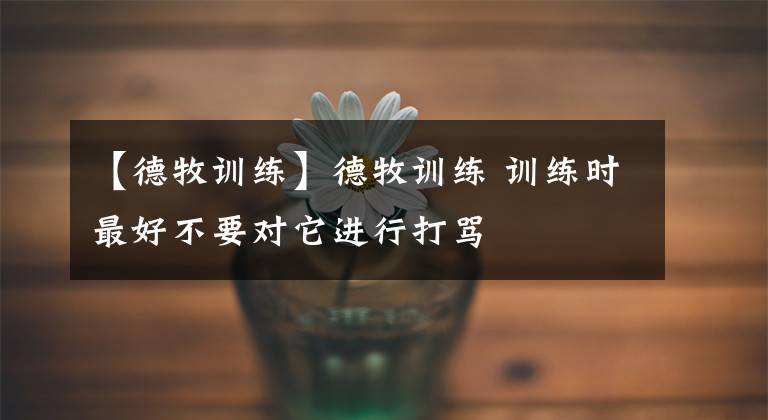 【德牧训练】德牧训练 训练时最好不要对它进行打骂