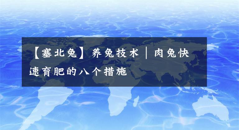 【塞北兔】养兔技术｜肉兔快速育肥的八个措施