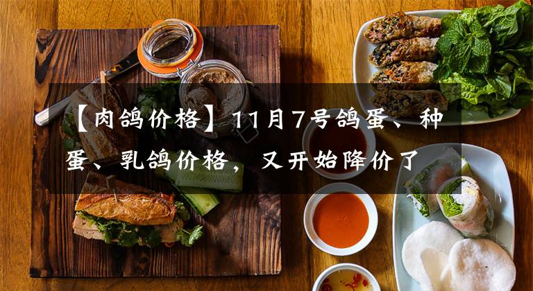 【肉鸽价格】11月7号鸽蛋、种蛋、乳鸽价格，又开始降价了