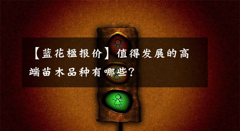 【蓝花楹报价】值得发展的高端苗木品种有哪些？