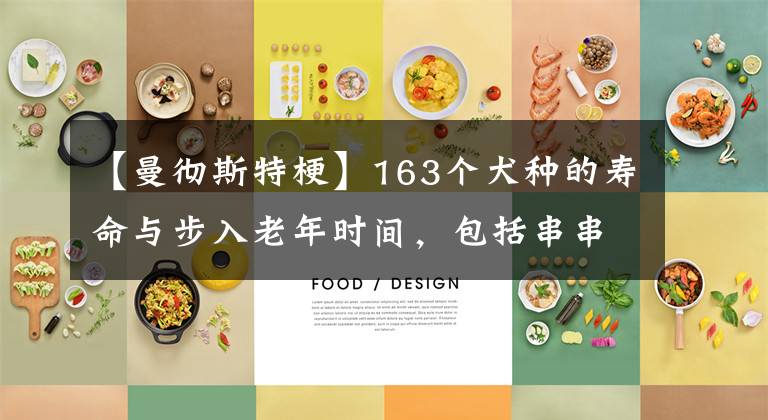 【曼彻斯特梗】163个犬种的寿命与步入老年时间，包括串串，看着好难过