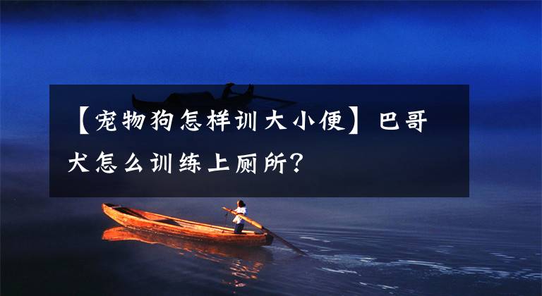 【宠物狗怎样训大小便】巴哥犬怎么训练上厕所？