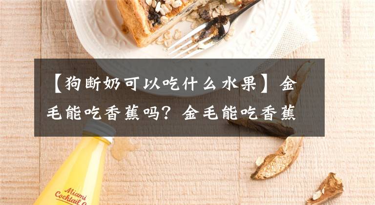 【狗断奶可以吃什么水果】金毛能吃香蕉吗？金毛能吃香蕉吗？狗香蕉吃太多怎么办？
