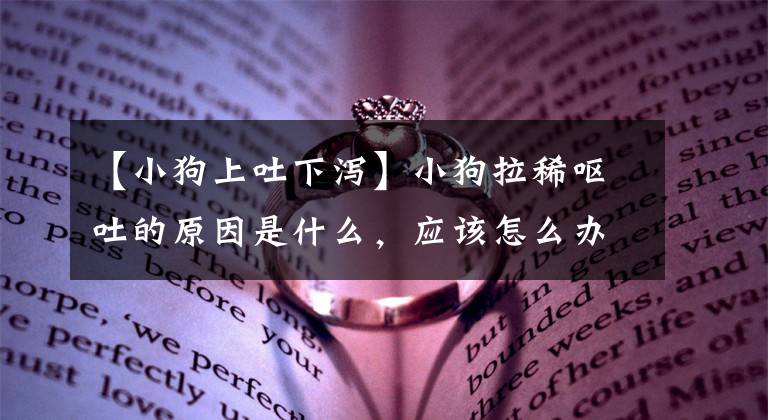 【小狗上吐下泻】小狗拉稀呕吐的原因是什么，应该怎么办