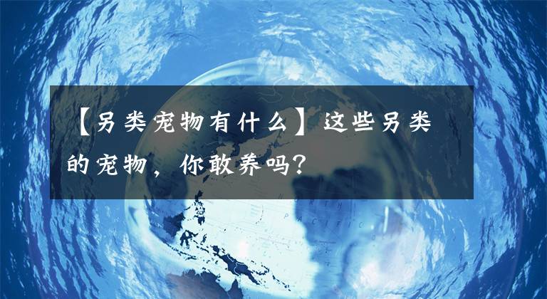 【另类宠物有什么】这些另类的宠物，你敢养吗？