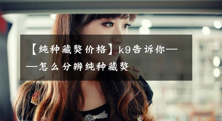 【纯种藏獒价格】k9告诉你——怎么分辨纯种藏獒