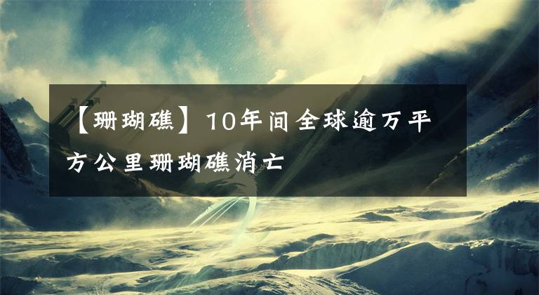 【珊瑚礁】10年间全球逾万平方公里珊瑚礁消亡