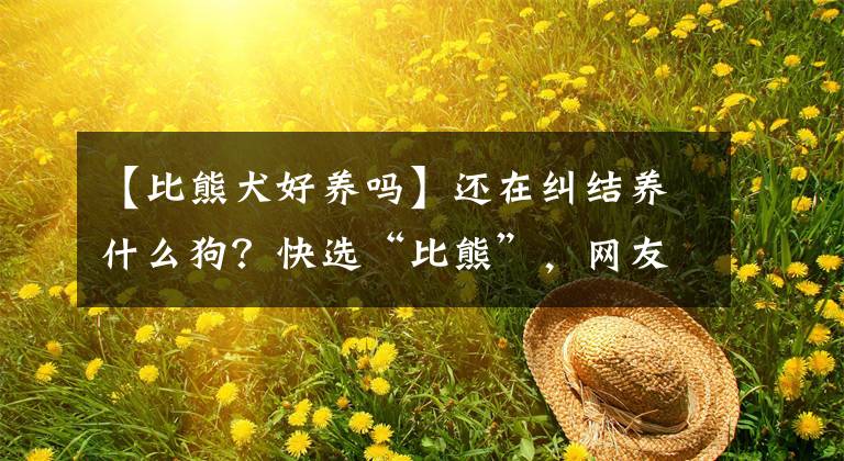 【比熊犬好养吗】还在纠结养什么狗？快选“比熊”，网友：养了就不想换