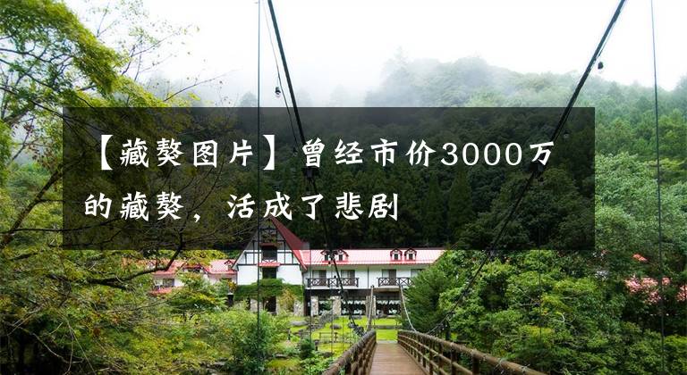 【藏獒图片】曾经市价3000万的藏獒，活成了悲剧