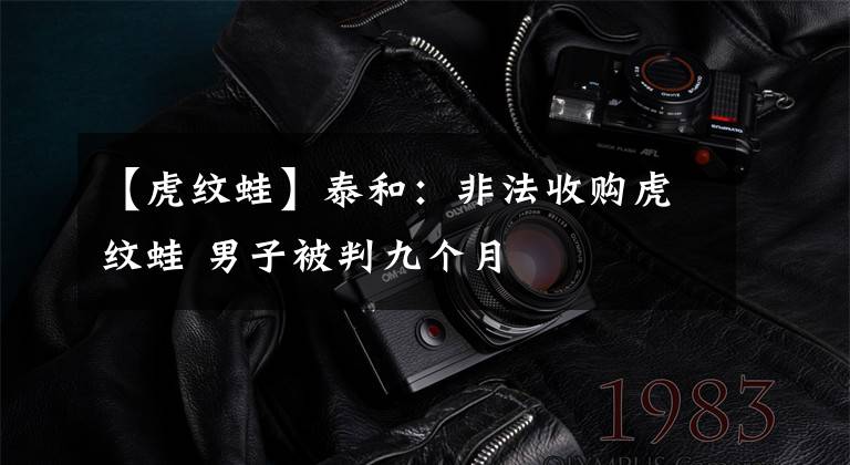 【虎纹蛙】泰和：非法收购虎纹蛙 男子被判九个月