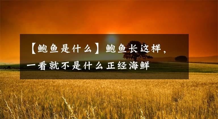 【鲍鱼是什么】鲍鱼长这样，一看就不是什么正经海鲜