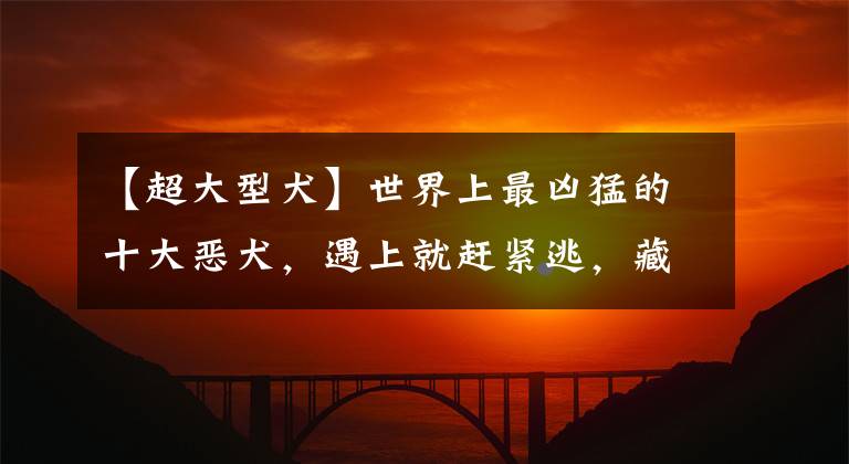 【超大型犬】世界上最凶猛的十大恶犬，遇上就赶紧逃，藏獒只能排到第二