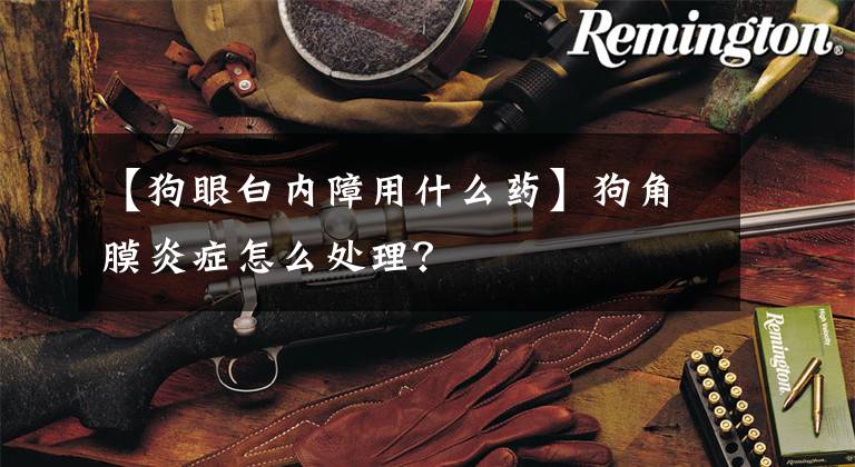 【狗眼白内障用什么药】狗角膜炎症怎么处理？