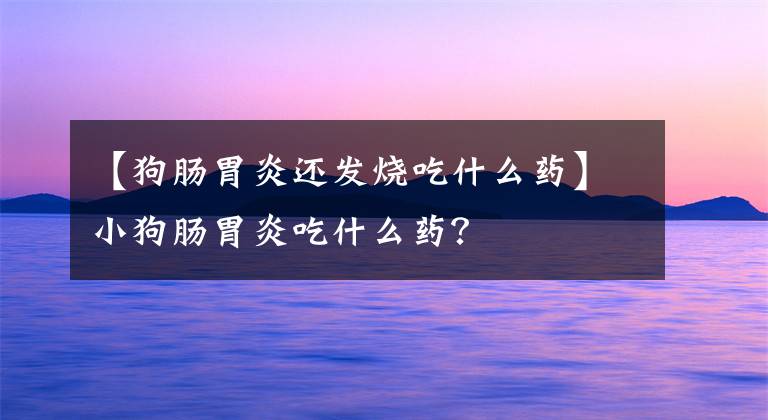 【狗肠胃炎还发烧吃什么药】小狗肠胃炎吃什么药？