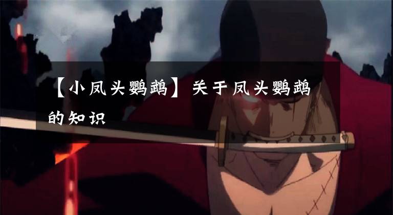 【小凤头鹦鹉】关于凤头鹦鹉的知识