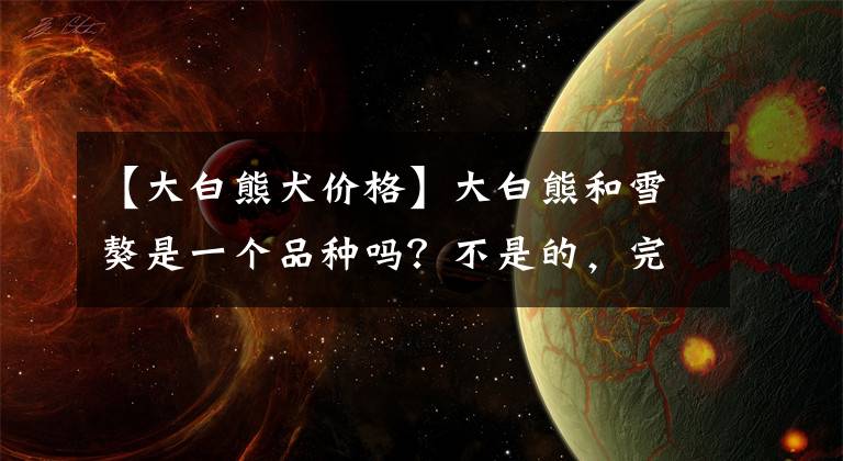 【大白熊犬价格】大白熊和雪獒是一个品种吗？不是的，完全不同的两个品种