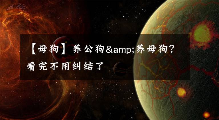 【母狗】养公狗&养母狗？看完不用纠结了