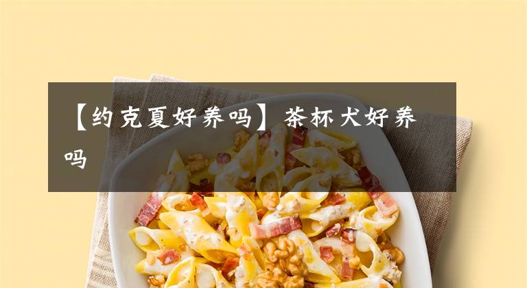 【约克夏好养吗】茶杯犬好养吗