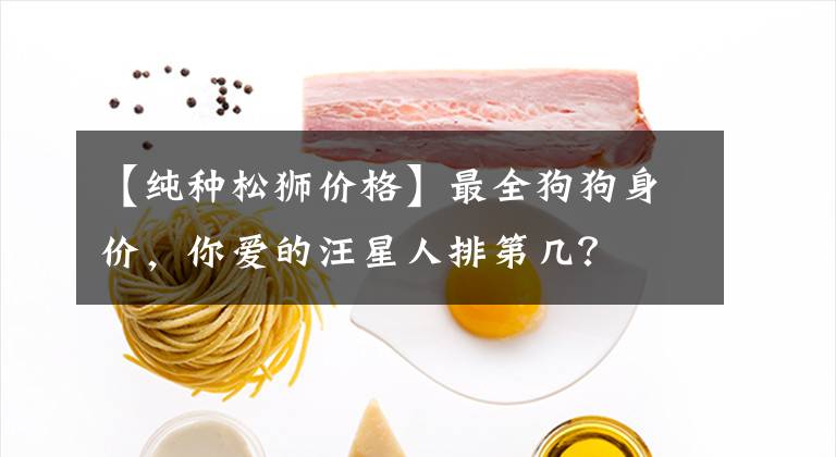 【纯种松狮价格】最全狗狗身价，你爱的汪星人排第几？