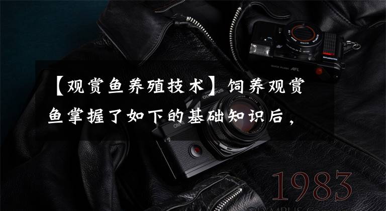 【观赏鱼养殖技术】饲养观赏鱼掌握了如下的基础知识后，剩下来的问题无需别人指点