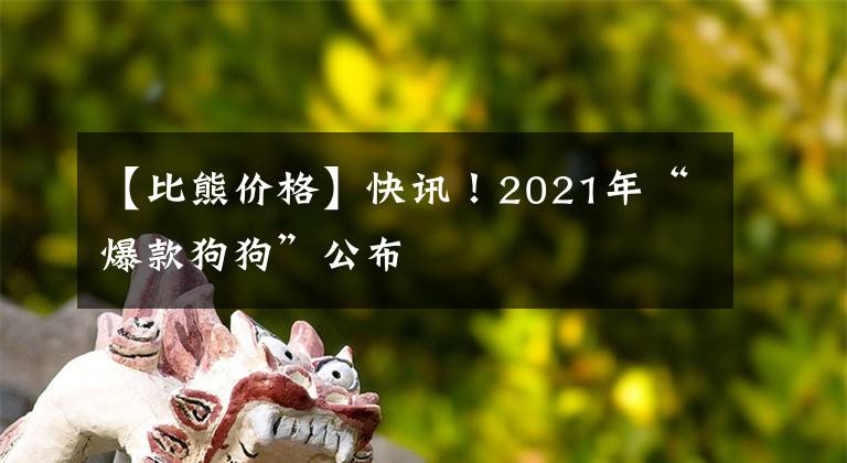 【比熊价格】快讯！2021年“爆款狗狗”公布