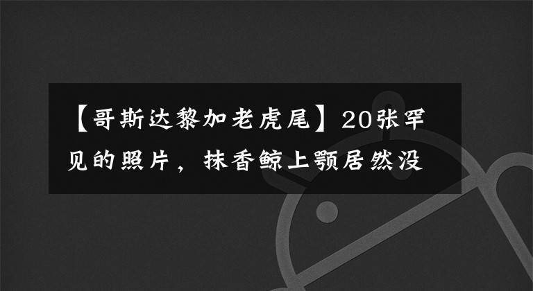 【哥斯达黎加老虎尾】20张罕见的照片，抹香鲸上颚居然没有牙，图5是全身透明的青蛙