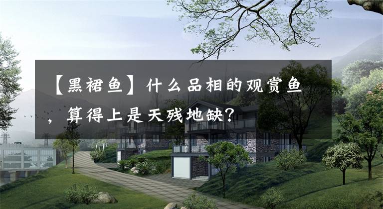 【黑裙鱼】什么品相的观赏鱼，算得上是天残地缺？