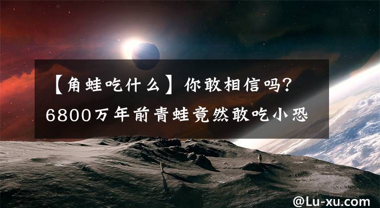 【角蛙吃什么】你敢相信吗？6800万年前青蛙竟然敢吃小恐龙