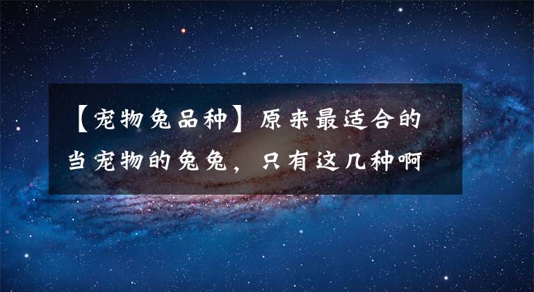 【宠物兔品种】原来最适合的当宠物的兔兔，只有这几种啊？