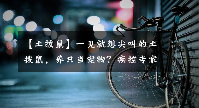 【土拔鼠】一见就想尖叫的土拨鼠，养只当宠物？疾控专家：小心，有危险