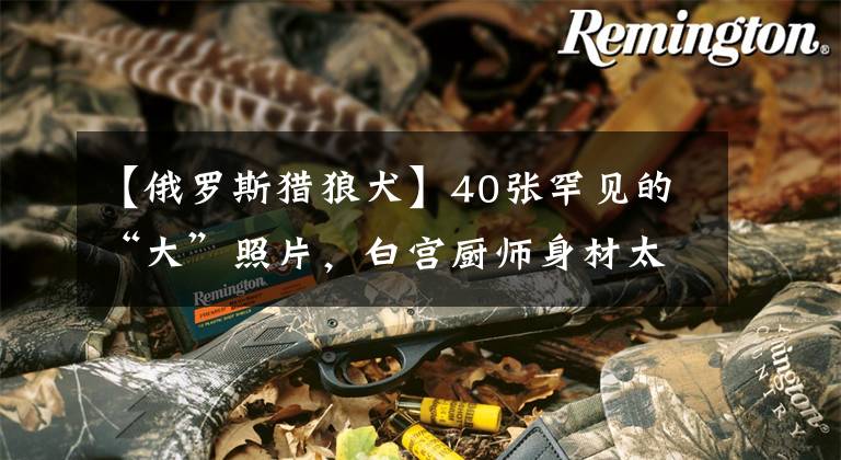 【俄罗斯猎狼犬】40张罕见的“大”照片，白宫厨师身材太霸气，怎么看都不像厨子