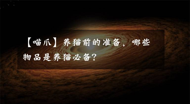 【喵爪】养猫前的准备，哪些物品是养猫必备？