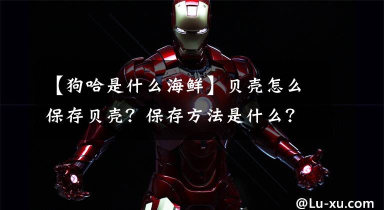 【狗哈是什么海鲜】贝壳怎么保存贝壳？保存方法是什么？