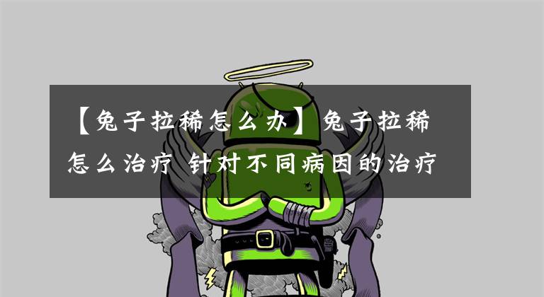 【兔子拉稀怎么办】兔子拉稀怎么治疗 针对不同病因的治疗方法