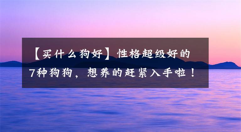 【买什么狗好】性格超级好的7种狗狗，想养的赶紧入手啦！真的不亏