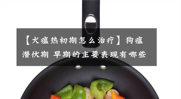 【犬瘟热初期怎么治疗】狗瘟潜伏期 早期的主要表现有哪些
