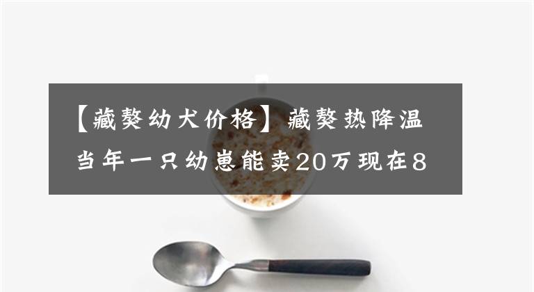 【藏獒幼犬价格】藏獒热降温 当年一只幼崽能卖20万现在8千元就卖