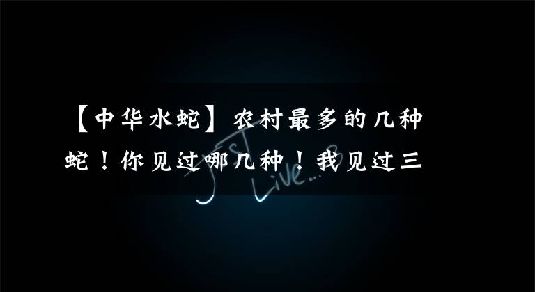 【中华水蛇】农村最多的几种蛇！你见过哪几种！我见过三种