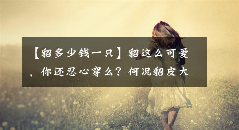 【貂多少钱一只】貂这么可爱，你还忍心穿么？何况貂皮大衣还惹上新冠病毒变异之祸
