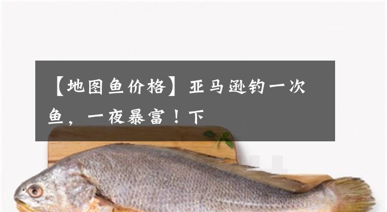 【地图鱼价格】亚马逊钓一次鱼，一夜暴富！下