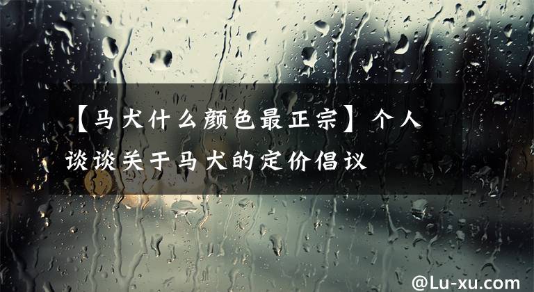 【马犬什么颜色最正宗】个人谈谈关于马犬的定价倡议