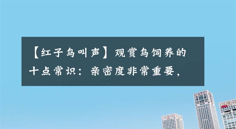 【红子鸟叫声】观赏鸟饲养的十点常识：亲密度非常重要，瓜子每天吃多少最好？